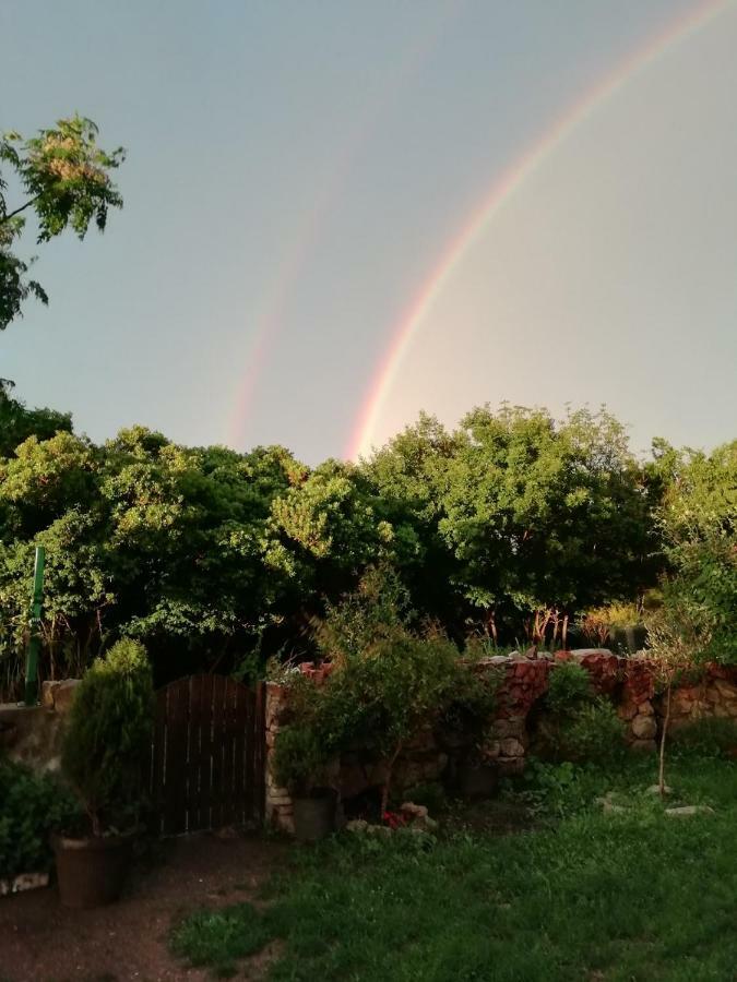 Mirta Apartments Family Farm بودفا المظهر الخارجي الصورة
